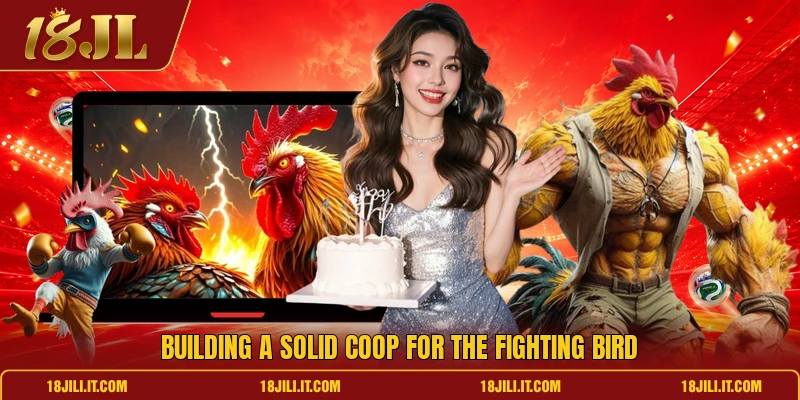 Building a solid coop for the fighting bird