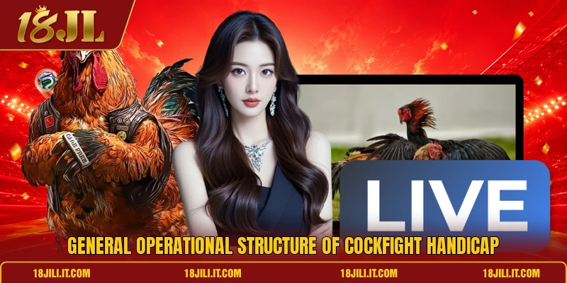 General operational structure of cockfight handicap