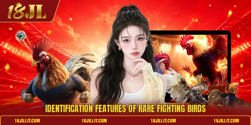 Identification features of rare fighting birds