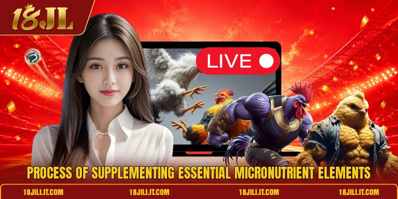 Process of supplementing essential micronutrient elements