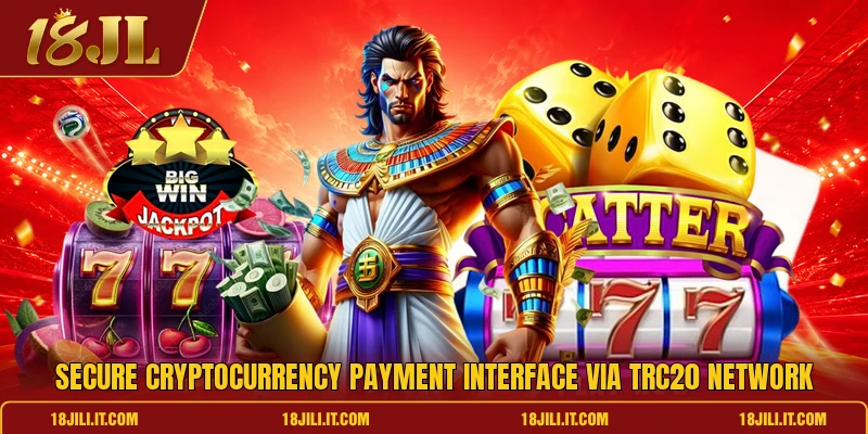 Secure cryptocurrency payment interface via TRC20 network