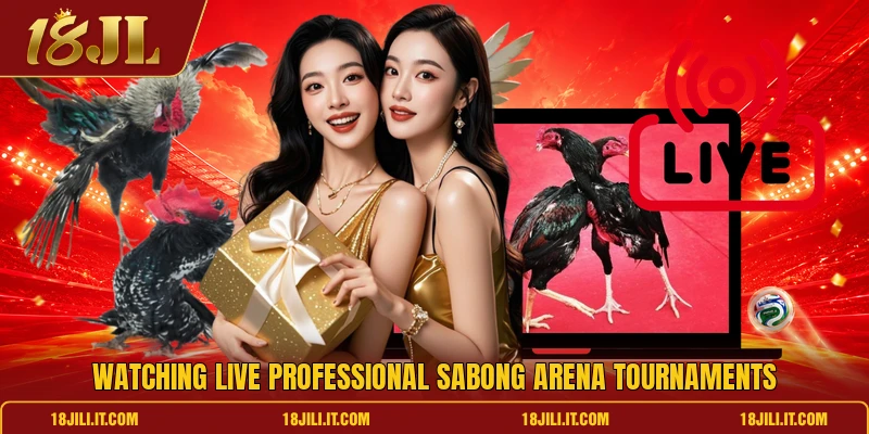 Watching live professional sabong arena tournaments